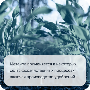 Сельское хозяйство