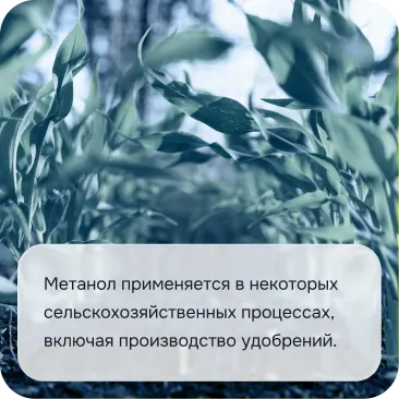Сельское хозяйство